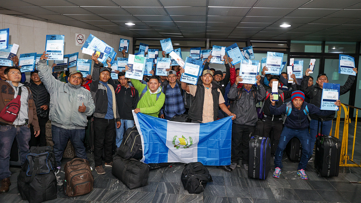 Guatemala busca participantes para el Programa de Trabajo Temporal en el extranjero