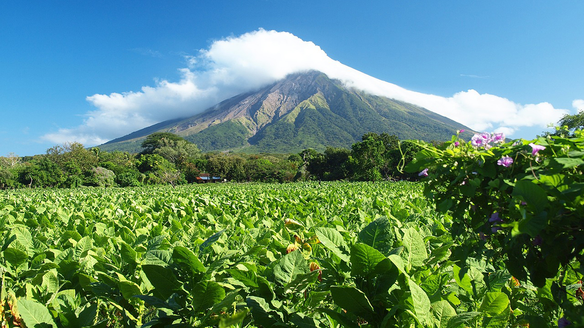 Nicaragua: desafíos del financiamiento climático